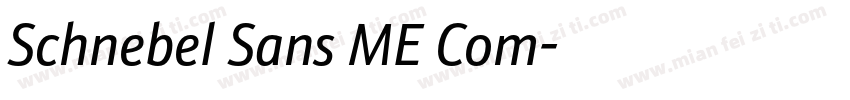 Schnebel Sans ME Com字体转换